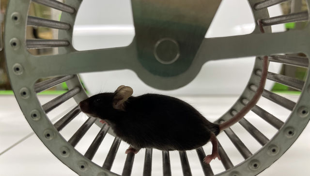 Por The New York Times