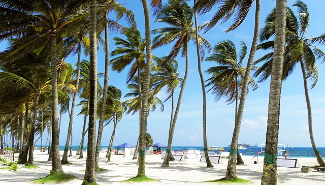 ¿CARTAGENA O SAN ANDRÉS?