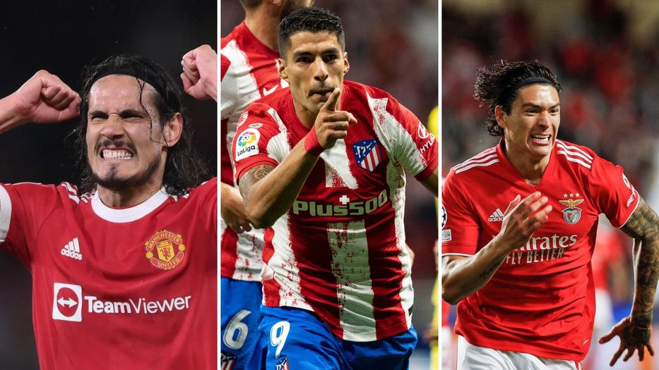 Distintas tendencias