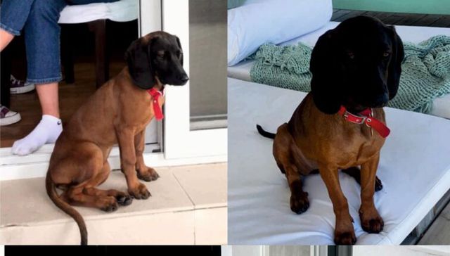 Búsqueda implacable