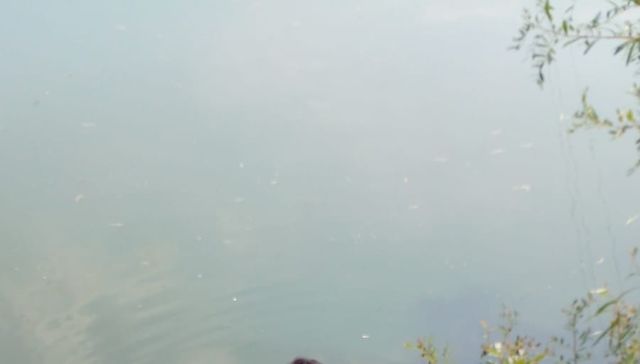 Te lloré un río