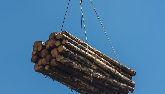 Escribe Eduardo Bonomi