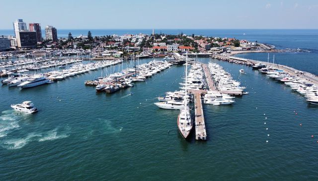 Aprovechá la volada