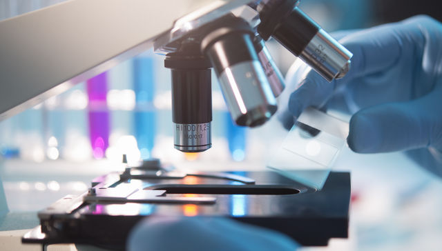 Una mano a las mentes del país