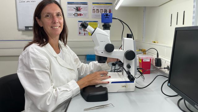 No dejen de aplaudir