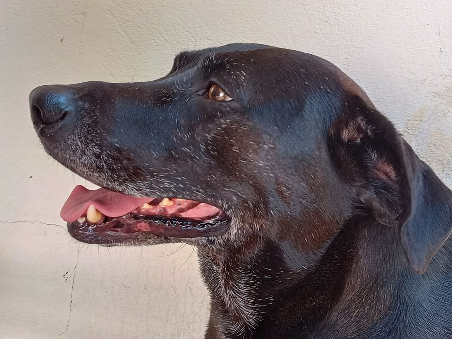 Foto sacada con edge20 lite