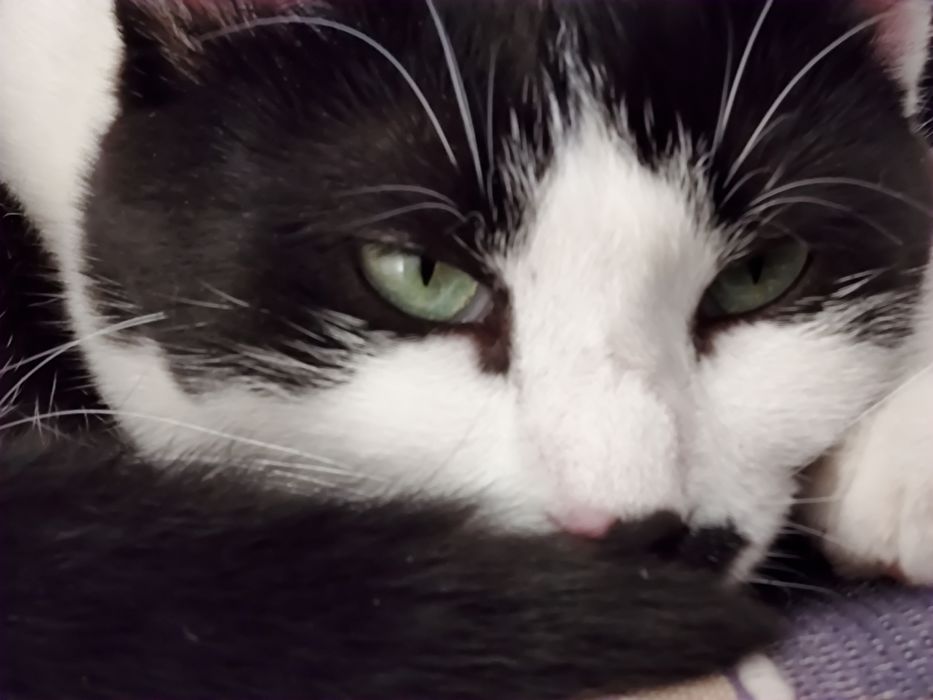 Foto tomada con edge20 Pro