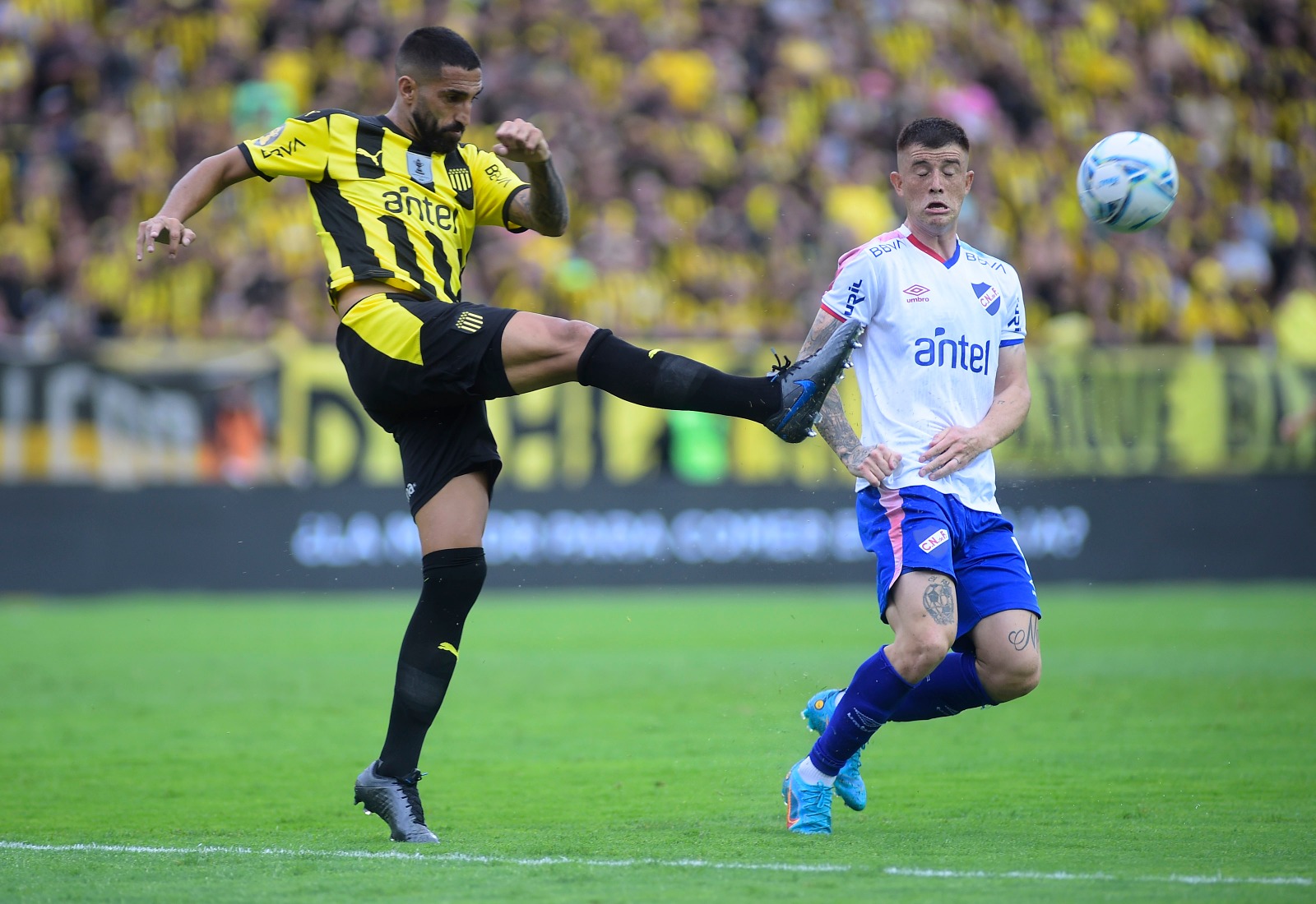 Albion vs Wanderers Torneo Intermedio - Campeonato Uruguayo 2022