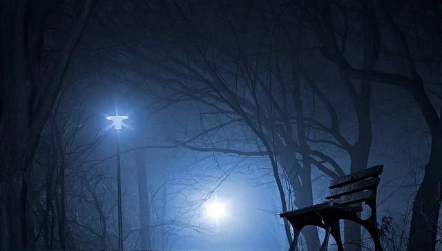 Al centro de la noche