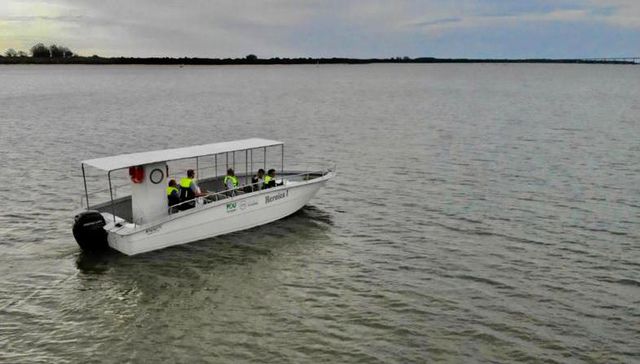 Marineros de agua dulce