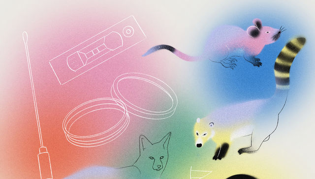 Por The New York Times