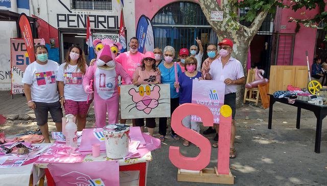 The Revenge of the Pink Panther