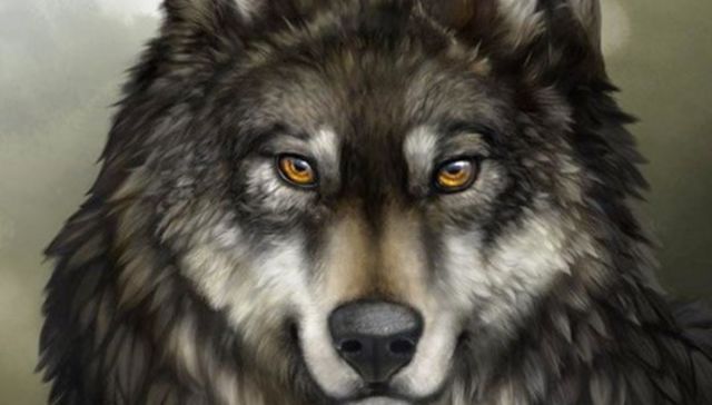 Escribe Esteban Valenti