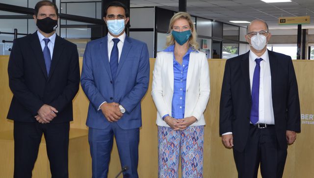 Desarrollo de proyectos