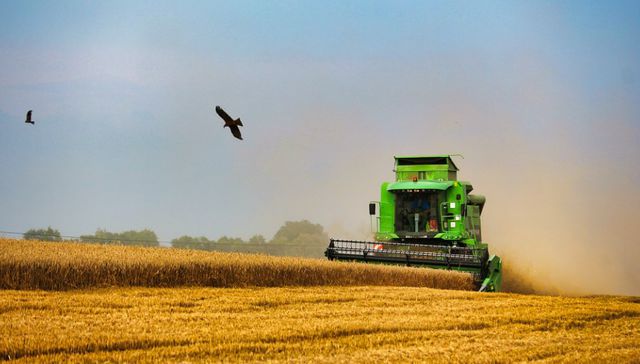 Mucho camino por andar