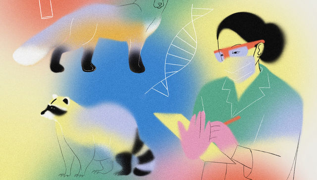 Por The New York Times