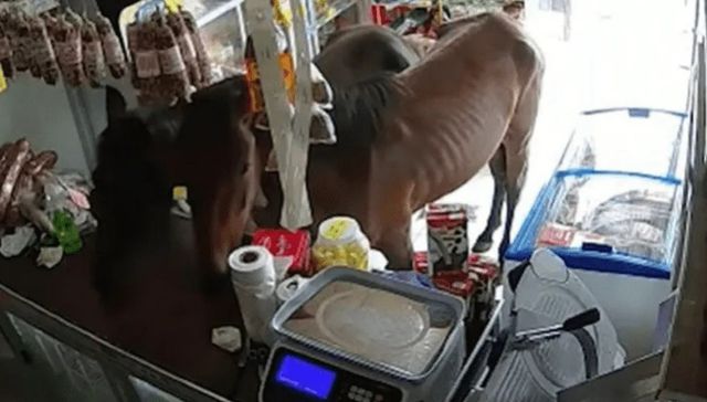 No se les mira el pelo