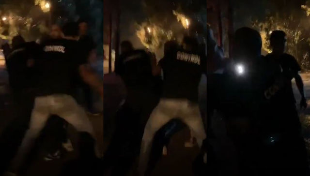 Juguemos en el bosque