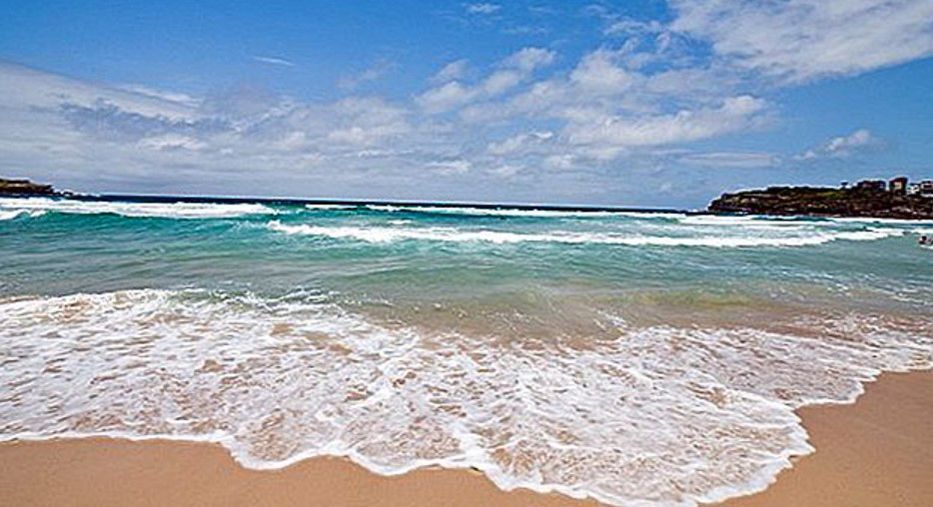 Sídney reabre sus playas tras el primer ataque mortal de tiburón desde 1963