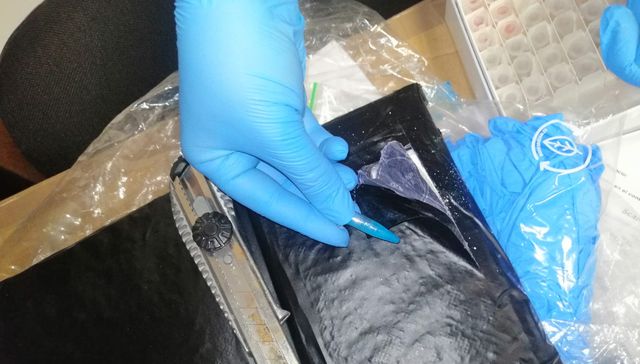 Down on the ground, cocaine