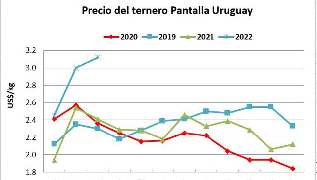 Pequeños gigantes