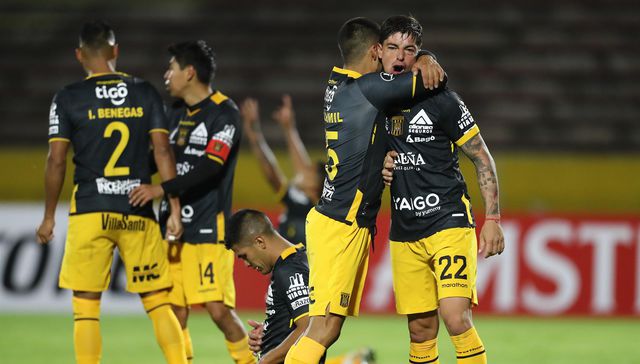 Son unos tigres