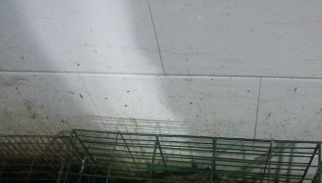 Por The New York Times