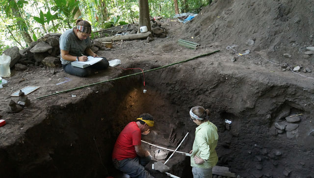 Por The New York Times