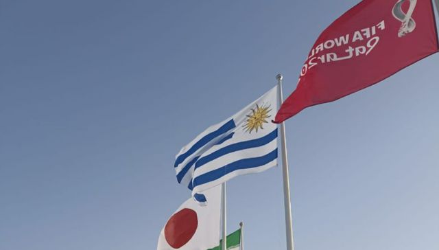 Nos renueva la ilusión