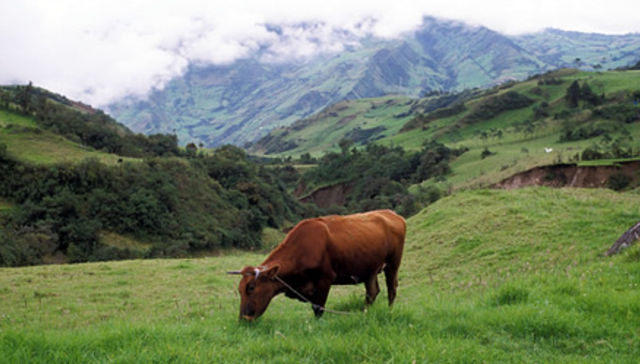 Todo tiene que ver con todo