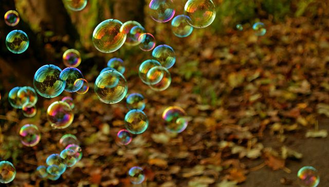 Escribe Alejandro Sánchez