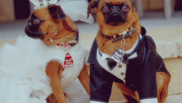 Por The New York Times