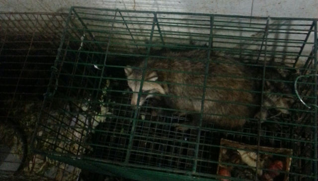 Por The New York Times