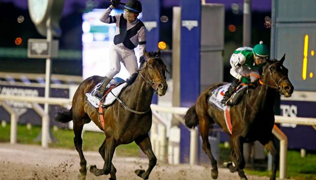 Gateras de Medio Oriente