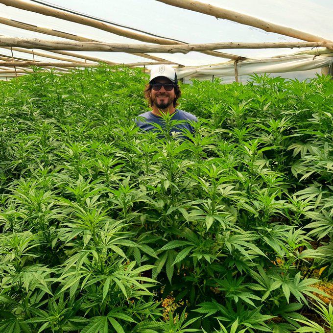 Facundo Garretón: “Es absurdo que la ley de cannabis no se amplíe al  turismo”