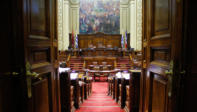 Domingo democrático