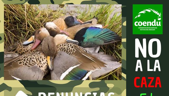 Tu caza no es mi caza