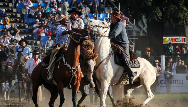 Corcovean como potrillo en doma