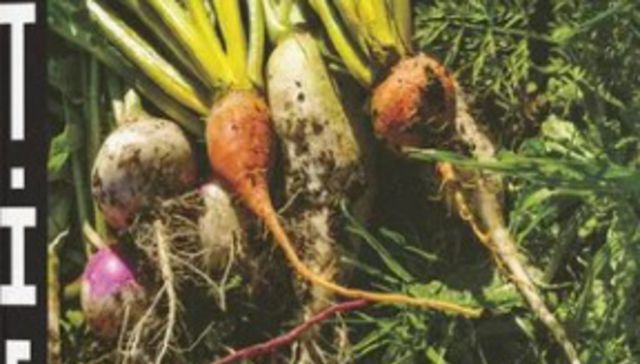 De la tierra al plato