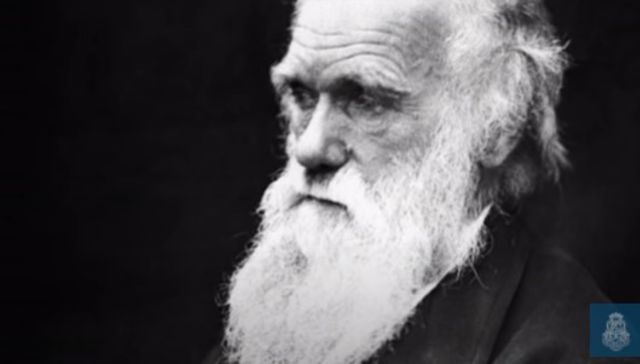 La evolución de las especies