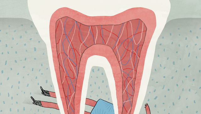 Por The New York Times