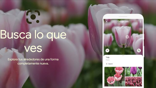 Lo mejor de dos mundos