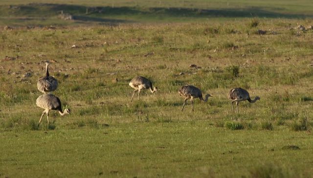 Los técnicos al banco