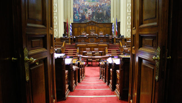 Domingo democrático