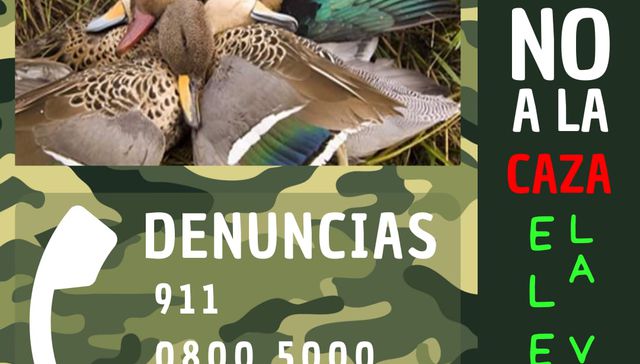 Tu caza no es mi caza