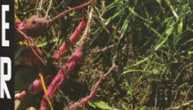 De la tierra al plato