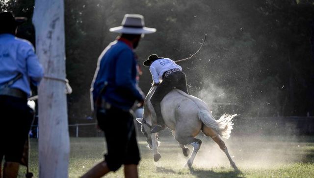 Para todos los gustos
