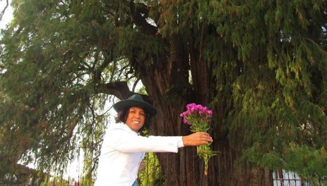 Árbol yo ya sabía...