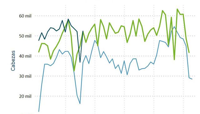 Viento de frigorífico