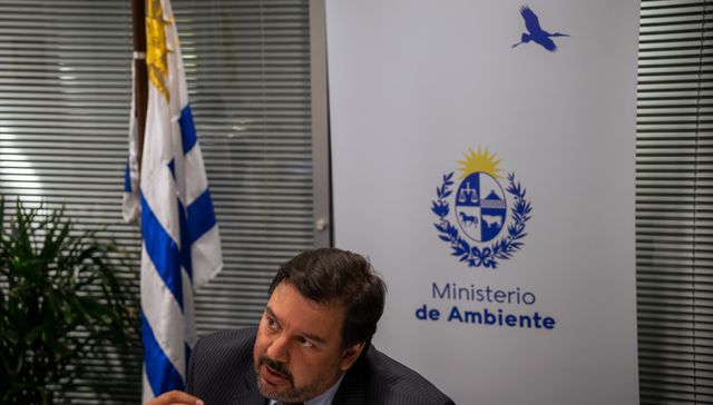 El sueño del pollo
